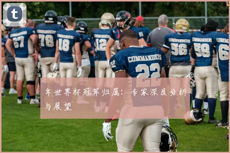 年世界杯冠军归属:专家深度分析与展望