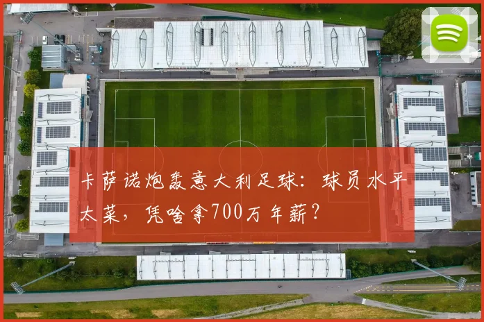 卡萨诺炮轰意大利足球：球员水平太菜，凭啥拿700万年薪？