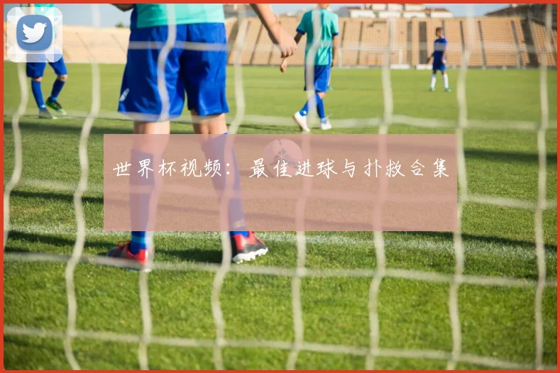 世界杯视频：最佳进球与扑救合集