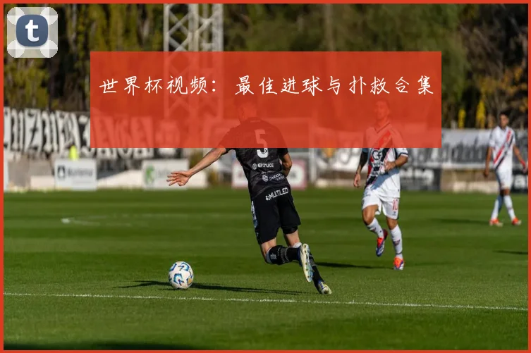 世界杯视频：最佳进球与扑救合集