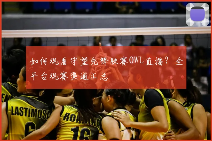 如何观看守望先锋联赛OWL直播？全平台观赛渠道汇总