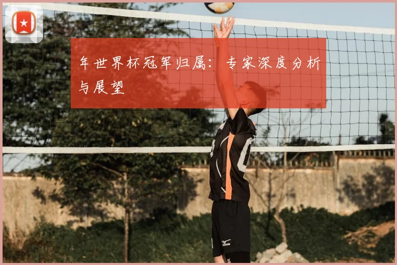 年世界杯冠军归属:专家深度分析与展望